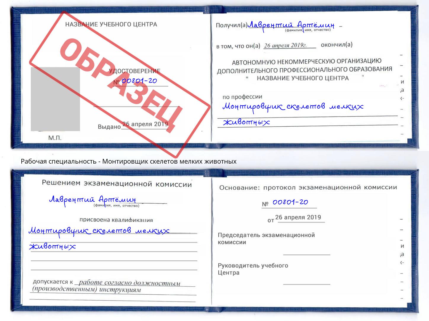 Монтировщик скелетов мелких животных Краснокаменск
